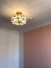 可洛 欧式全铜LED吸顶灯美式卧室灯圆形过道阳台灯走廊灯玄关灯具 H03-4F（直径45cm 高度30cm） 晒单实拍图