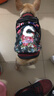 NINKIN狗狗衣服冬天法斗泰迪雪纳瑞比熊小型犬斗牛犬巴哥犬贵宾衣服冬装 酷炫牛仔花款 M-建议10-15斤穿 实拍图