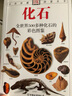 自然珍藏图鉴丛书：化石 实拍图