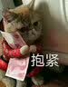 未来教育.全国英语等级考试二级教材 PETS-2 公共英语二级考试用书 实拍图