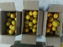 优仙果南非西柚 红心柚子葡萄柚新鲜水果时令生鲜柚子礼盒 精选2枚 单果220g+ 实拍图