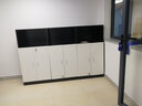 竹筠樓（ZHUJUNLOU） 木质办公柜落地式带锁文件柜资料柜打印机柜茶水柜矮柜 黑色+白门 60长*40深*120高   两门柜 实拍图