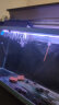 云峰海瑞 LED龙鱼缸灯水陆两用水中水草灯水族箱LED鱼缸灯具防水灯 24键遥控+手控变色43CM 实拍图