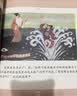 中国名家经典原创图画书乐读本马得系列：大闹天宫+三借芭蕉扇+宝葫芦+八仙过海（套装共4册） 实拍图