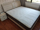 星港（STARDOM） 小硬垫床垫 加硬睡感整网弹簧 椰棕乳胶床垫 加厚主卧护脊中老年 小硬垫活力版/20cm 1500*2000 实拍图