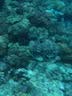 CRESSI潜水面镜浮潜水肺深潜面罩潜水呼吸管装备ranger潜水镜近视 【经典款】黄色-平光 实拍图