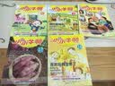 小小牛顿幼儿百科馆（套装1-40册） 实拍图