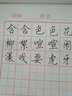 青联  练字薄红方格 米字格 田字格16k练字本学生钢笔字书法30张单本 田字格10本（300张） 实拍图