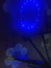自行车灯风火轮五彩七彩LED辐条钢丝灯山地车警示灯尾灯夜骑行装备 USB充电款-蓝色1个 实拍图