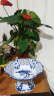 青花瓷 手绘高脚陶瓷水果盘果篓装饰器皿/家居摆件 青花水果盘 晒单实拍图