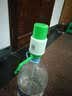 纳居（NAJU） 压水器桶装水泵手压式饮水器 纯净水桶取水器抽水器便携式压水器 直插式-中号白绿色 实拍图