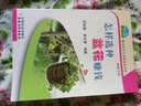 怎样选种盆花赚钱：种植业篇 实拍图