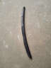 拓思汽车雨刮器胶条雨刷条胶条刮雨替换条前雨刮片胶条 新凯美瑞 12款后 26+18 三段有骨 不含经典 实拍图