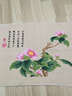 春天十字绣客厅荷花水仙茶花线绣中国风新中式花卉手工小幅挂画 生态棉 6436山茶花 49*35cm 实拍图
