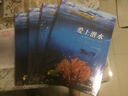 爱上潜水：发现最美的水下世界 实拍图