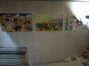 居梦坞海贼王海报卡通动漫挂画客厅创意卧室墙画人物画动漫二次元周边 NB1863 50*30cm 实拍图