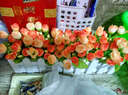爱泽宝 30cm跳兰菊套装花艺 实木栅栏仿真花套装 假花绢花客厅装饰摆放花艺干花 粉红小茶玫+30cm栅栏 实拍图