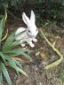 悦吉祥 仿真动物小白兔子摆件景观公园树脂雕塑工艺品花园林庭院户外装饰品 HY496白色一套 实拍图