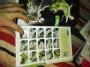 周毅食品雕刻：果蔬雕（下册） 实拍图