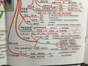 思维导图伴你学初中数学（DVD+思维导图+伴读手册） 实拍图