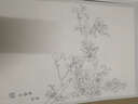 范本传真·白描花卉写生范本：百花谱 实拍图