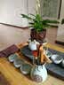 豹霖 茶道六君子套装黑檀鸡翅木实木竹 功夫茶具配件整套茶针勺匙夹茶艺组合茶盘摆件杯叉养壶笔  黑檀木平雕（君子兰） 实拍图