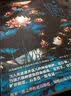 植物人（套装共2册） 实拍图