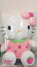 达娃hellokitty公仔玩偶毛绒玩具哈喽KT猫咪凯蒂猫布娃娃情人节礼物女 12寸30厘米富贵花 KT猫公仔 实拍图