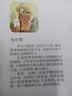 奇思妙想系列绘本：谁给我邮来一头小象 实拍图