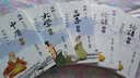 蔡志忠漫画四书系列（套装全5册）传统文化文学经典智慧 历史科普知识 蔡氏国学经典漫画——滋补了几代中国人的经典漫画读本 实拍图