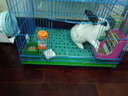 共度（Gong Du）共度 宠物食盆 喂水饮水器 兔子可固定草架 水樽架 滚珠水壶  80ml水壶+水樽架+窝+喂食槽 实拍图