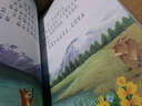 毛毛虫的天空（签名本 美绘本）/杨红樱童话注音本系列 实拍图