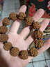 弥刻尼泊尔满肉五六七瓣矮桩大金刚菩提子手串男士文玩佛珠深度清理 七瓣满肉23mm11颗 实拍图