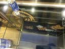 欧宝 金龙鱼缸 玻璃生态水族箱 屏风 大型鱼缸客厅办公室别墅定制鱼缸 80x50x90/68底过滤 实拍图