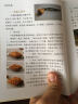 把玩艺术系列图书：手串把玩与鉴赏（修订本）教师节礼物教师节 实拍图