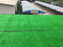 夕音 地毯塑料假草皮人造仿真草坪幼儿园人工假草坪室内飘窗阳台地毯 翠绿色15mm幼儿园 家用 实拍图