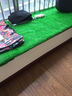 夕音 地毯塑料假草皮人造仿真草坪幼儿园人工假草坪室内飘窗阳台地毯 翠绿色10mm 加密 实拍图