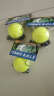 WITESS 威特斯初级训练比赛耐打网球 带线网球3只装 实拍图