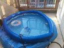 INTEX大型充气游泳池家用小孩婴儿戏水池户外加厚养鱼池宝宝家用泳池 直径244*高76CM 实拍图