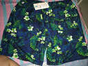 盖浪（GAILANG） 韩版亲子沙滩裤男速干大码宽松休闲海边度假泳裤可下水游泳温泉 绿色花(男款) XL 实拍图