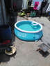 INTEX大型充气游泳池家用小孩婴儿戏水池户外加厚养鱼池宝宝家用泳池 直径183*高51CM 实拍图
