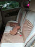 紫风铃汽车坐垫四季通用汽车座椅套速腾迈腾别克君越帝豪朗动汽车座垫04 04 标准版-温馨米 车型太多没办法全部写上-未找到车型 直接备注 实拍图