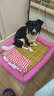 獒少保狗窝猫窝夏季宠物狗狗窝垫子凉席金毛泰迪狗窝小型犬狗屋狗床用品 可爱粉 L码 61*51*7cm 建议20斤内 实拍图