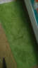 正八 【联系客服定制尺寸】可手洗家用丝毛地毯房间地毯客厅床边地毯卧室满铺手感顺滑丝毛地毯 草绿色（4.5cm加厚款） 600x1600 实拍图