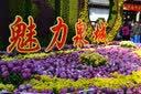 暖房子经典绘本系列第七辑：贝尔熊换新牙  实拍图