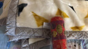 南极人（Nanjiren） 拉舍尔毛毯被盖毯冬季加厚双层婚庆超柔保暖单双人被子绒毯子 656大红 200cm*230cm12斤 实拍图