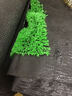 夕音 地毯塑料假草皮人造仿真草坪幼儿园人工假草坪室内飘窗阳台地毯 翠绿色10mm 加密 实拍图