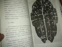 中国书法篆刻简史 实拍图