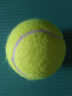 WITESS 威特斯初级训练比赛耐打网球 不带线网球单只装 实拍图