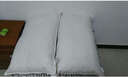 AMAIN雅棉 75%白鸭绒枕头颈椎枕五星级酒店枕芯晗梦羽绒枕芯 高回弹蓬松纤维枕芯- 单只 48cm *74cm 实拍图